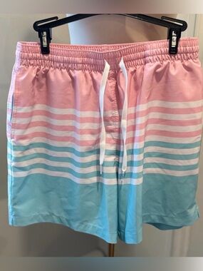 Chubbies Pink & Aqua Ombre Stripe Swim Trunks | 5.5” Inseam | Size Large
